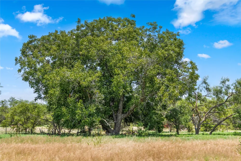 FM 604 ROAD Clyde, TX 79510