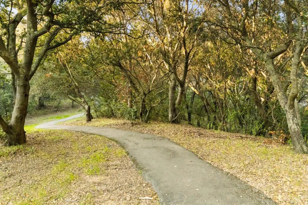 19375 Montevina Road Los Gatos, CA 95033