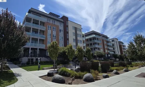 45128 Warm Springs Blvd #355
