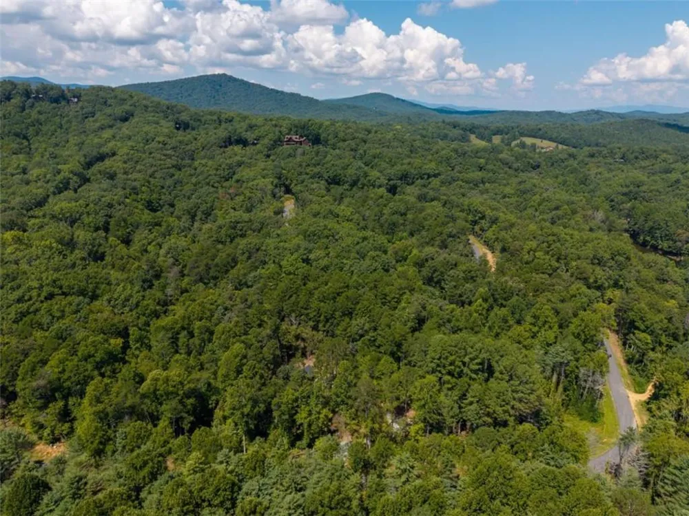 LT 639 Moreland Drive Cherry Log, GA 30522