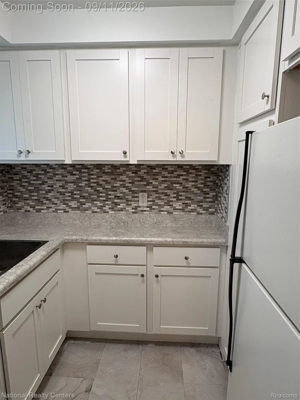 26945 W Milford Road W #3 Lyon Charter Township, MI 48178