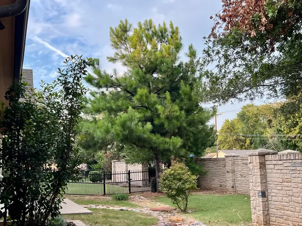 4611 S Royal Dublin Lane Broken Arrow, OK 74011