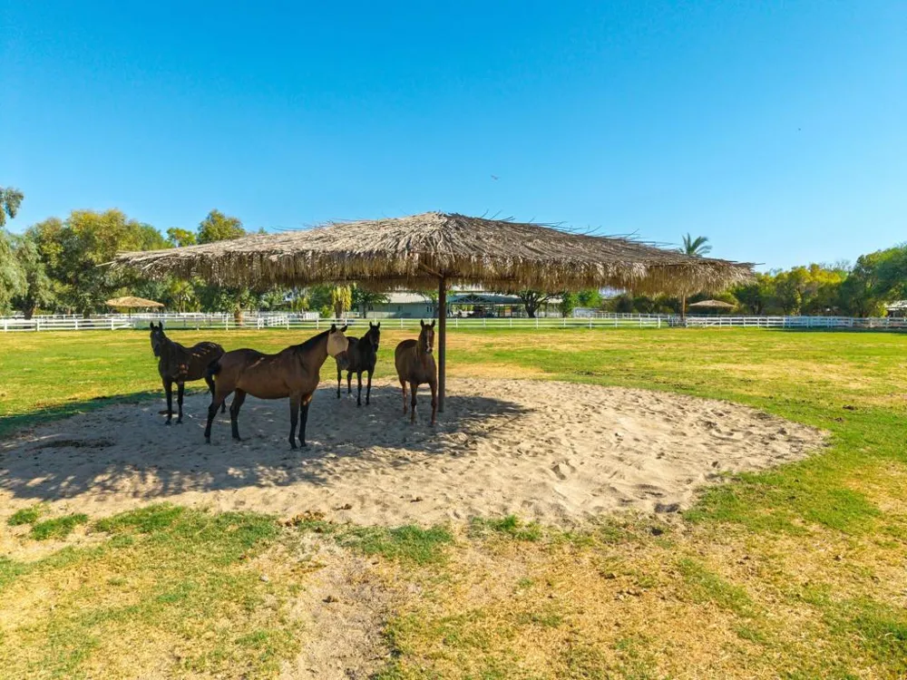 84393 61st Avenue Thermal, CA 92274