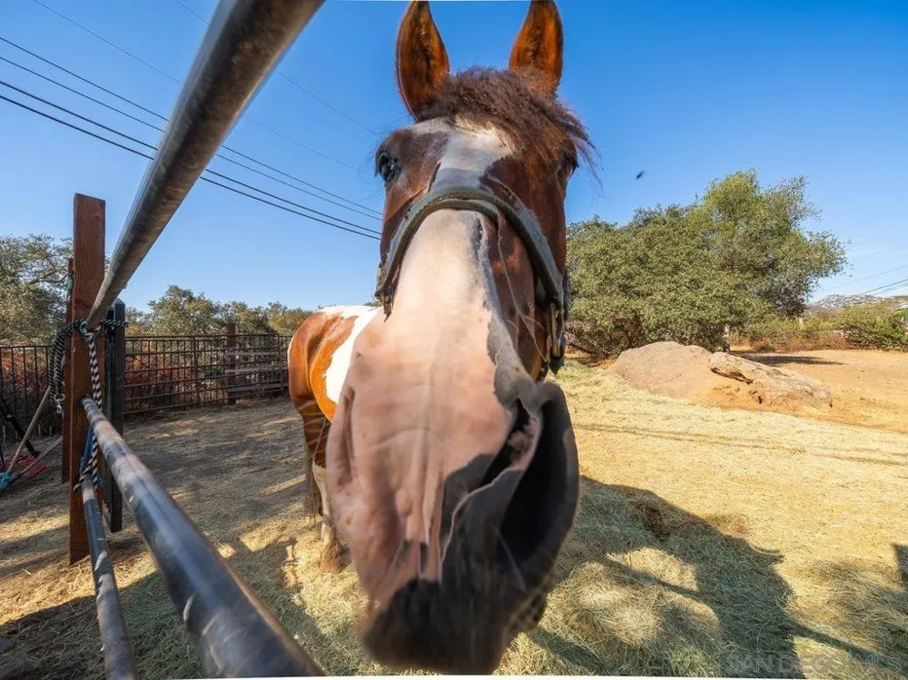 15625 Mussey Grade Rd Ramona, CA 92065