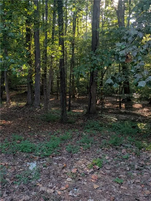 205 Shefield Place Douglasville, GA 30134