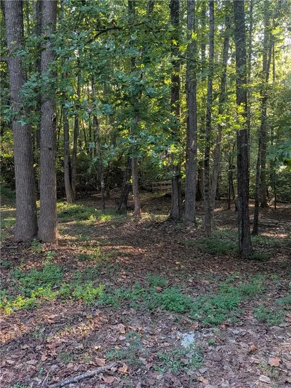 205 Shefield Place Douglasville, GA 30134