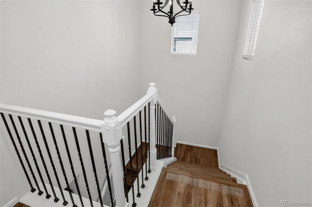 453 Bonanza Drive Erie, CO 80516