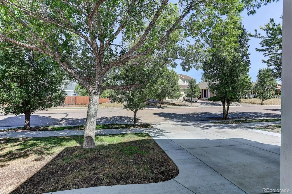 453 Bonanza Drive Erie, CO 80516