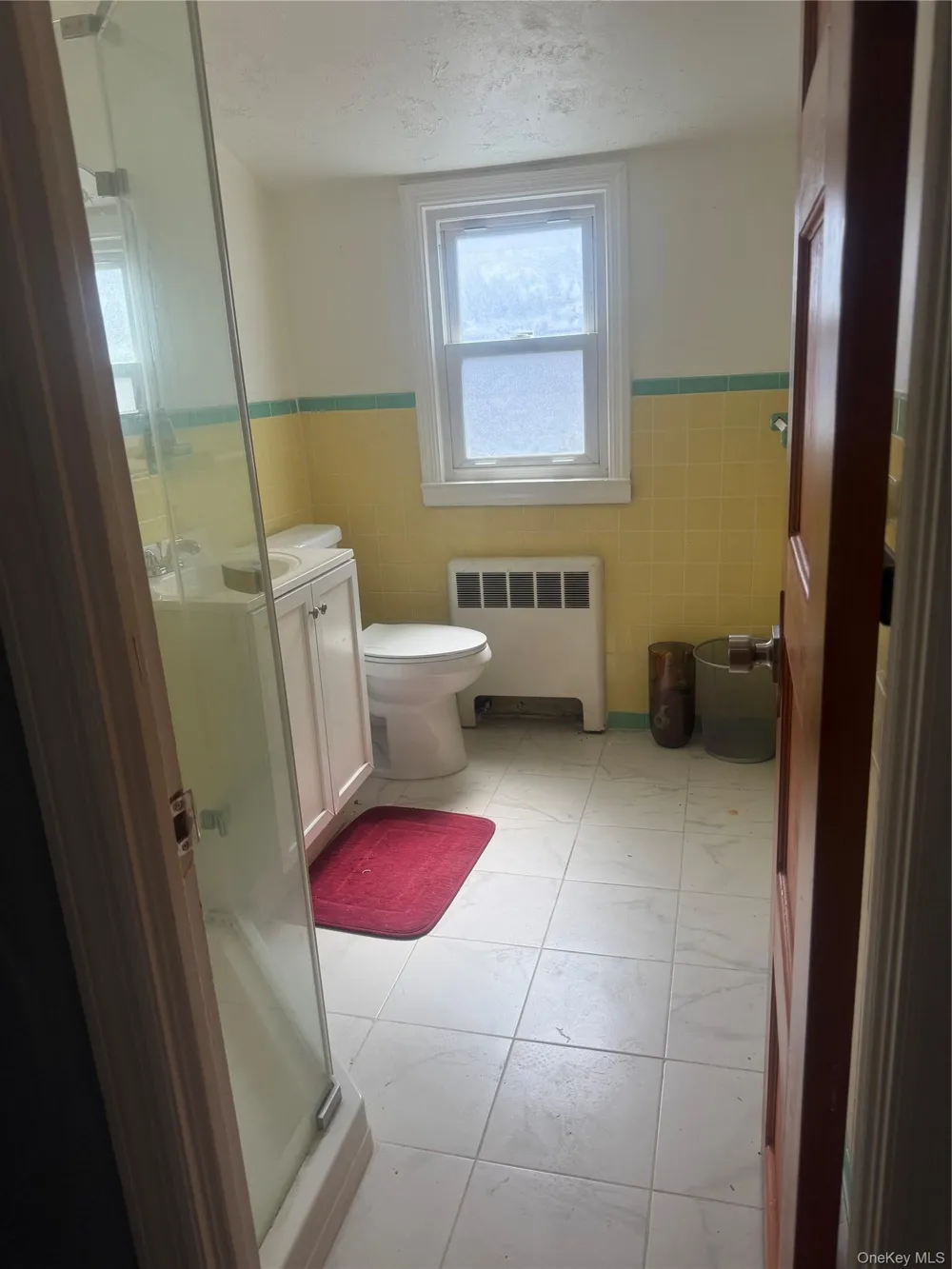 24 Wheeler Avenue Valley Stream, NY 11580