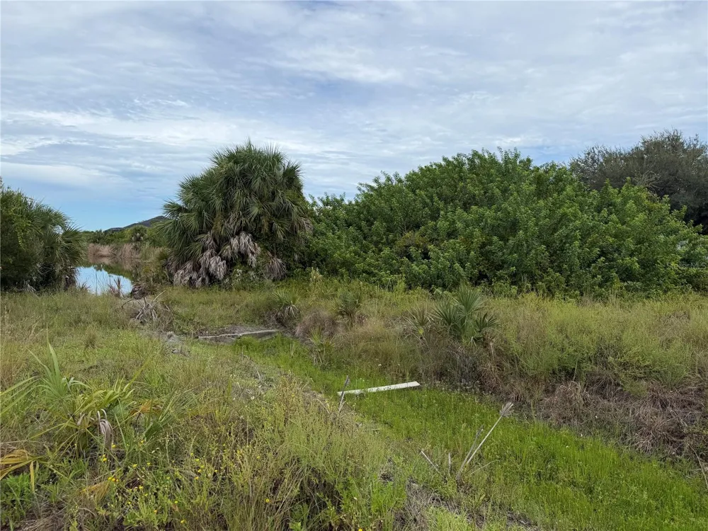 10385 HARLINGEN STREET Port Charlotte, FL 33981