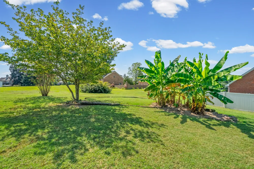 534 Pond Apple Rd Clarksville, TN 37043