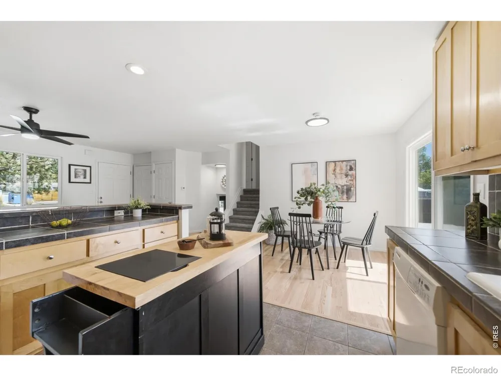 4101 Cork Drive Laporte, CO 80535