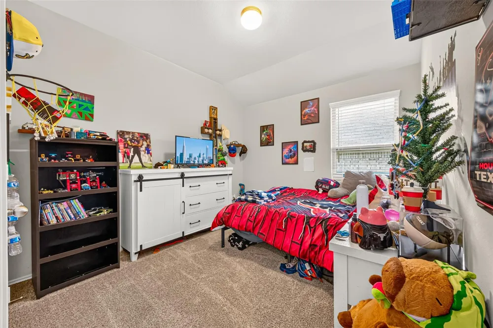 11527 Kalinago View Lane Conroe, TX 77304