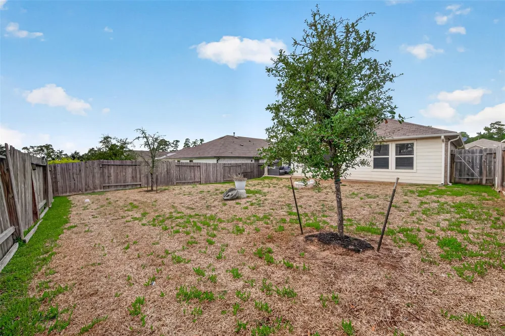 11527 Kalinago View Lane Conroe, TX 77304