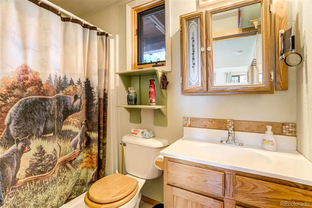 151 Old Kathleen Trail Guffey, CO 80820