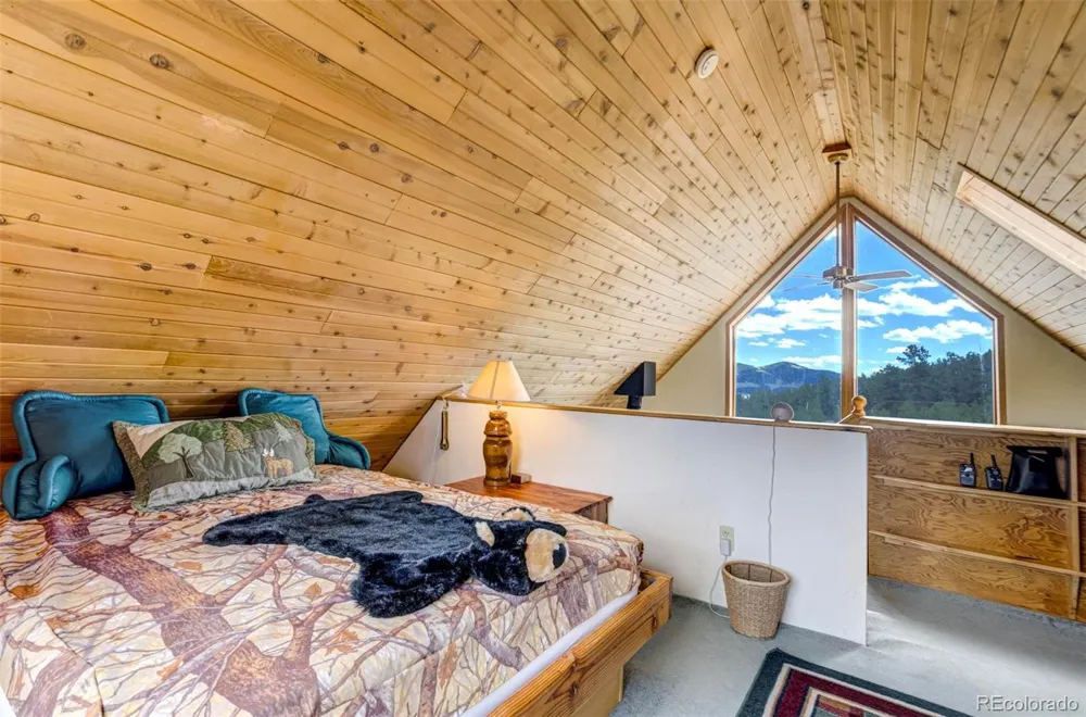 151 Old Kathleen Trail Guffey, CO 80820