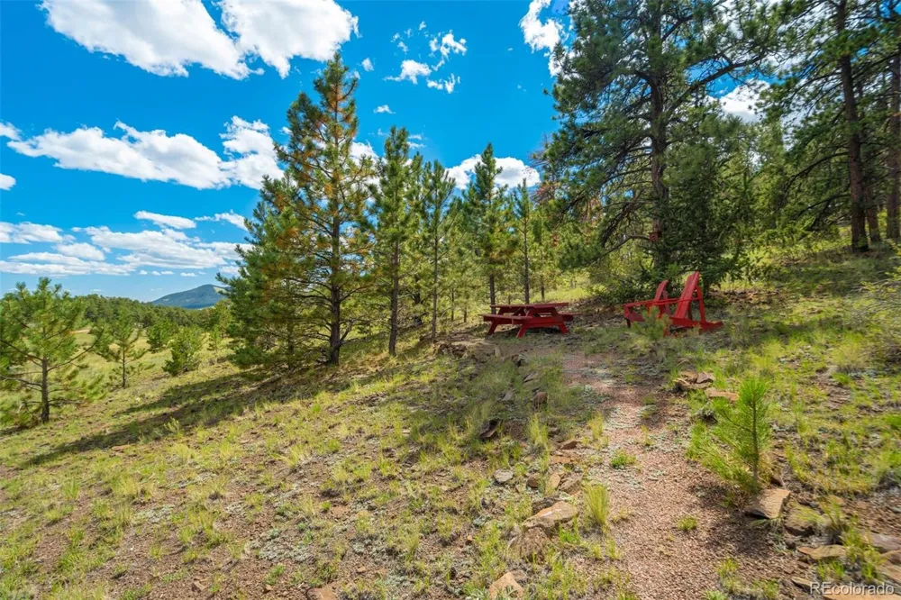 151 Old Kathleen Trail Guffey, CO 80820