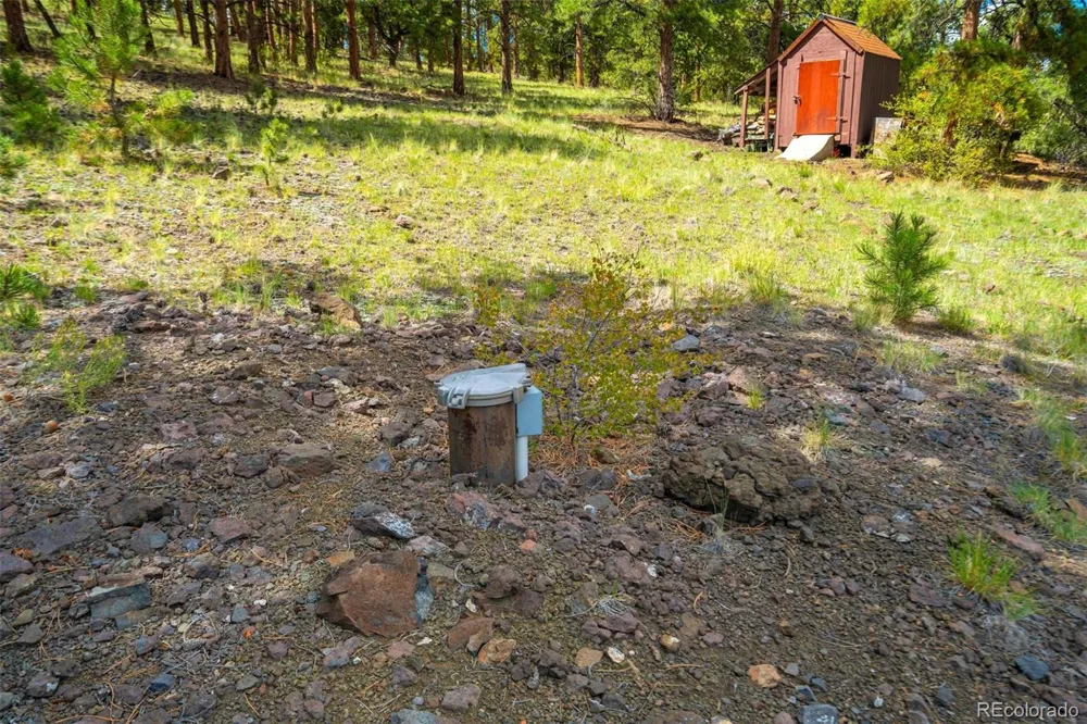 151 Old Kathleen Trail Guffey, CO 80820