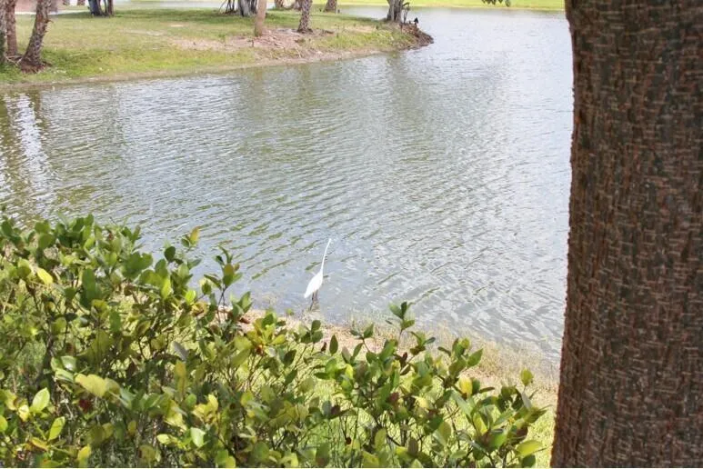30 Chatham B West Palm Beach, FL 33417
