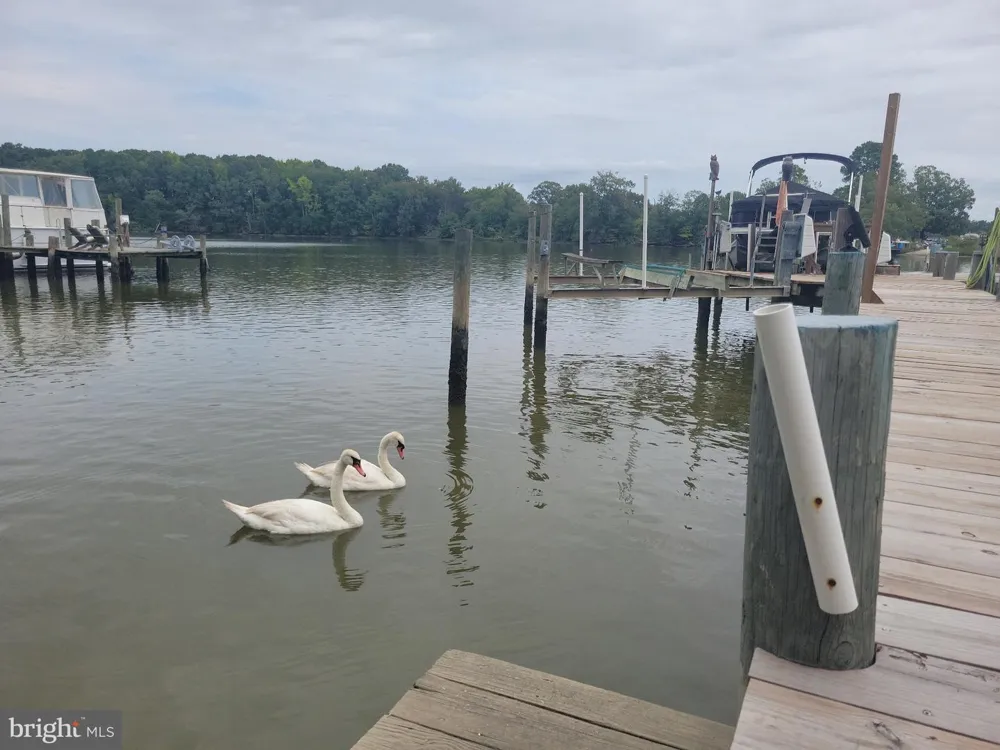 292 SEA HORSE DRIVE Colonial Beach, VA 22443