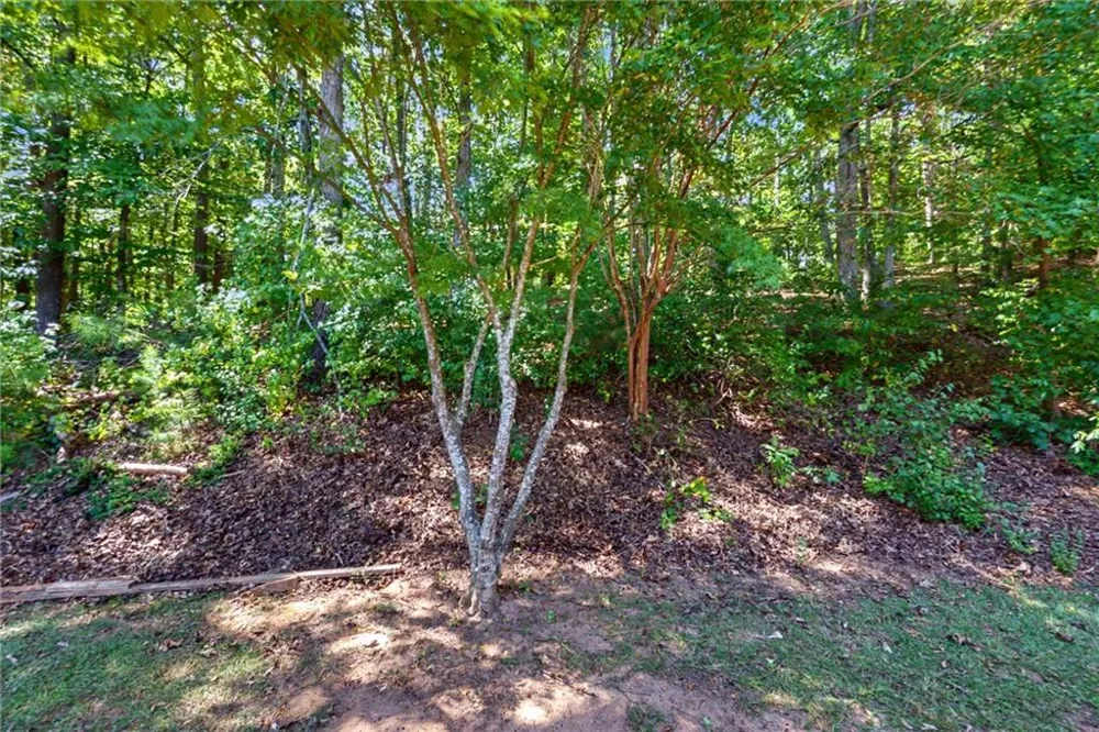 309 Gold Ridge Canton, GA 30114