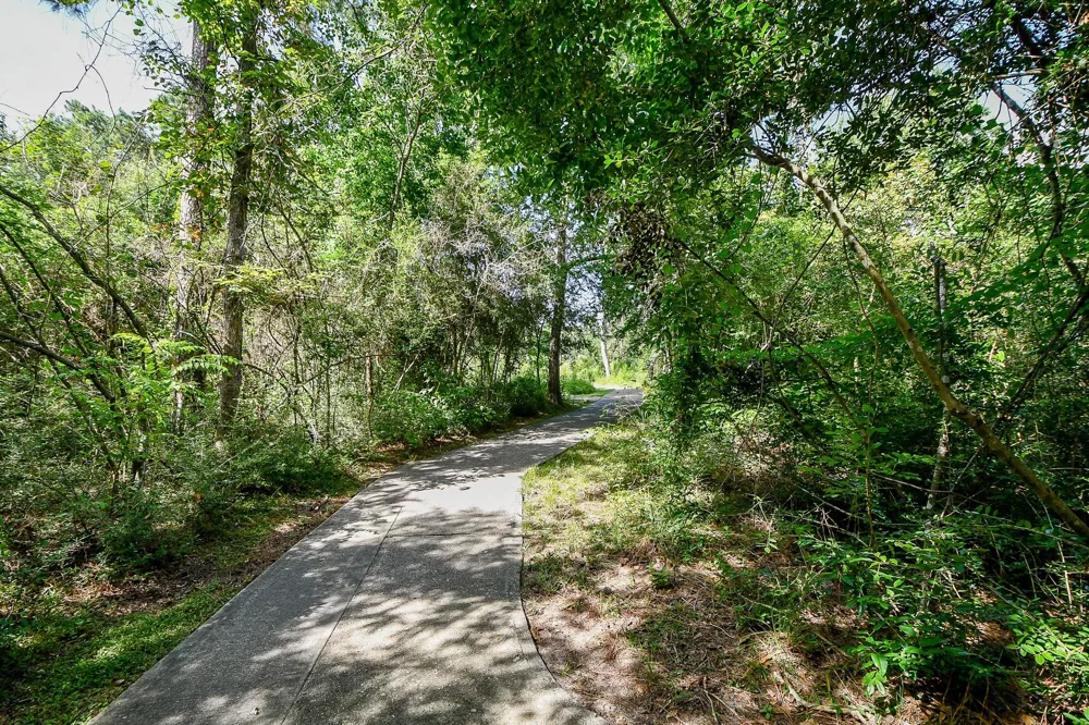 3500 Tangle Brush Drive #14 The Woodlands, TX 77381