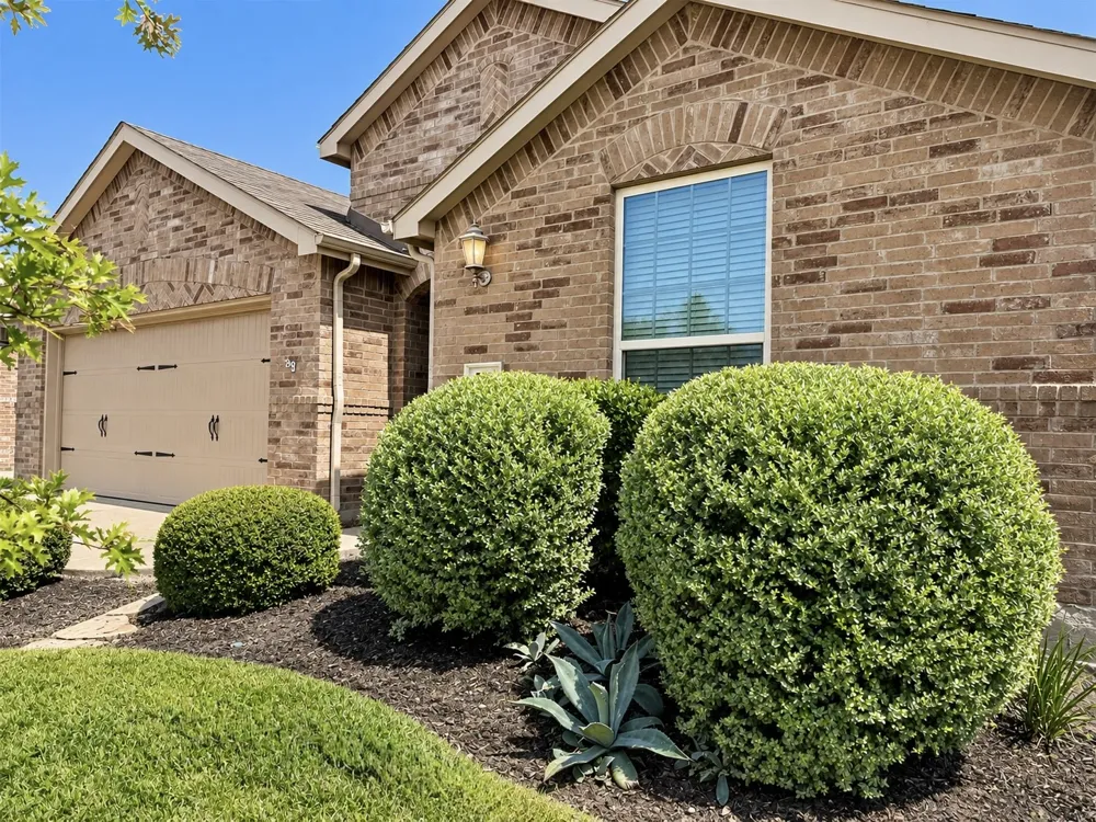 1131 Grimes Drive Forney, TX 75126