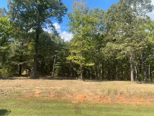 Private Road 52416 Road Leesburg, TX 75451