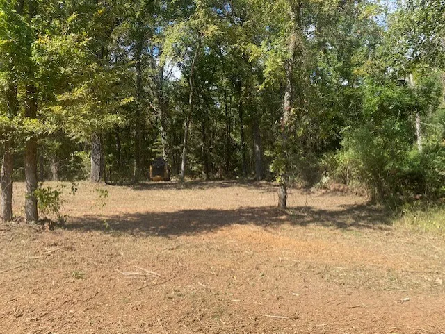 Private Road 52416 Road Leesburg, TX 75451