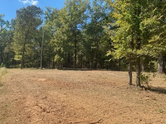 Private Road 52416 Road Leesburg, TX 75451