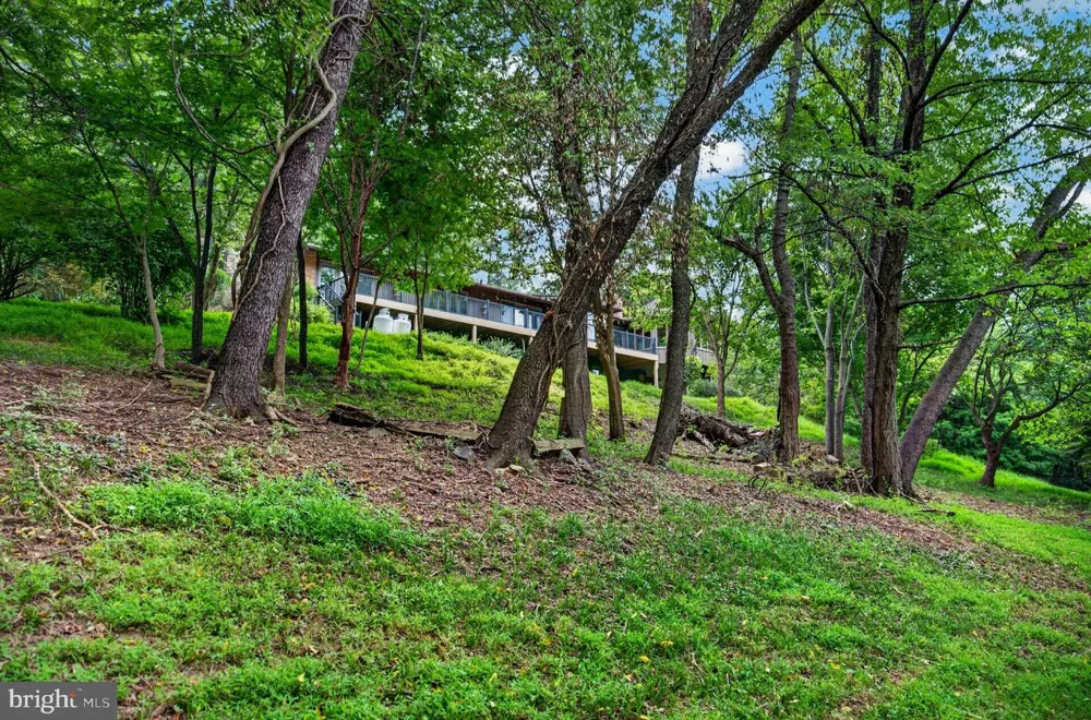 4513 TIMBERY DRIVE Jefferson, MD 21755
