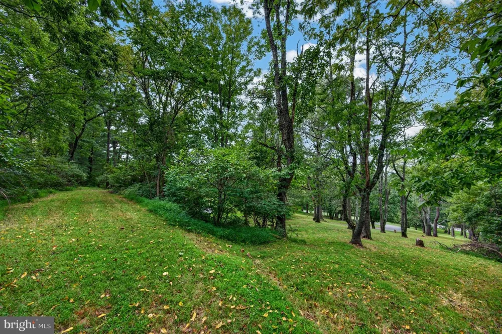 4513 TIMBERY DRIVE Jefferson, MD 21755