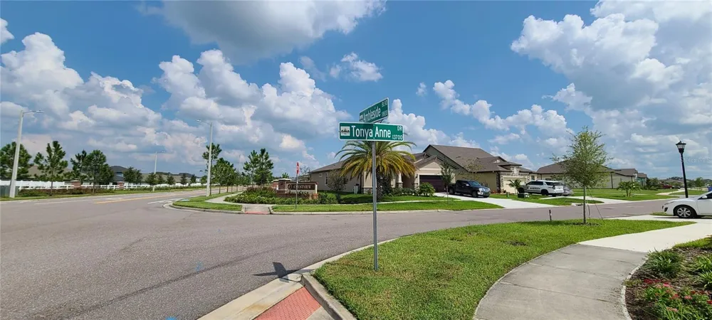13814 TONYA ANNE DRIVE Riverview, FL 33579