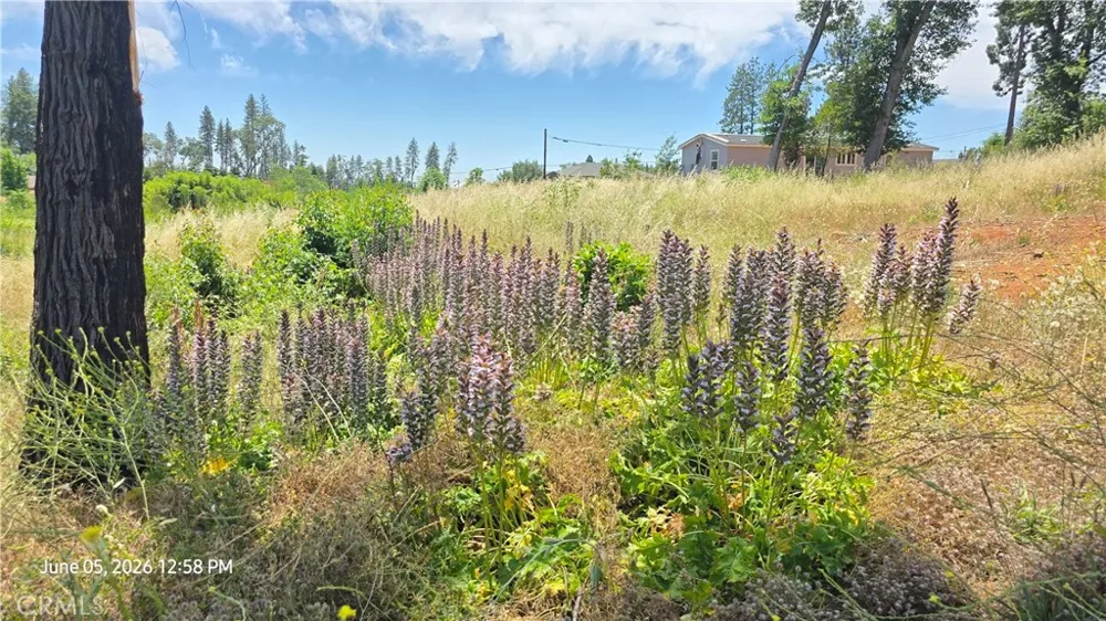 5805 Copeland Paradise, CA 95969