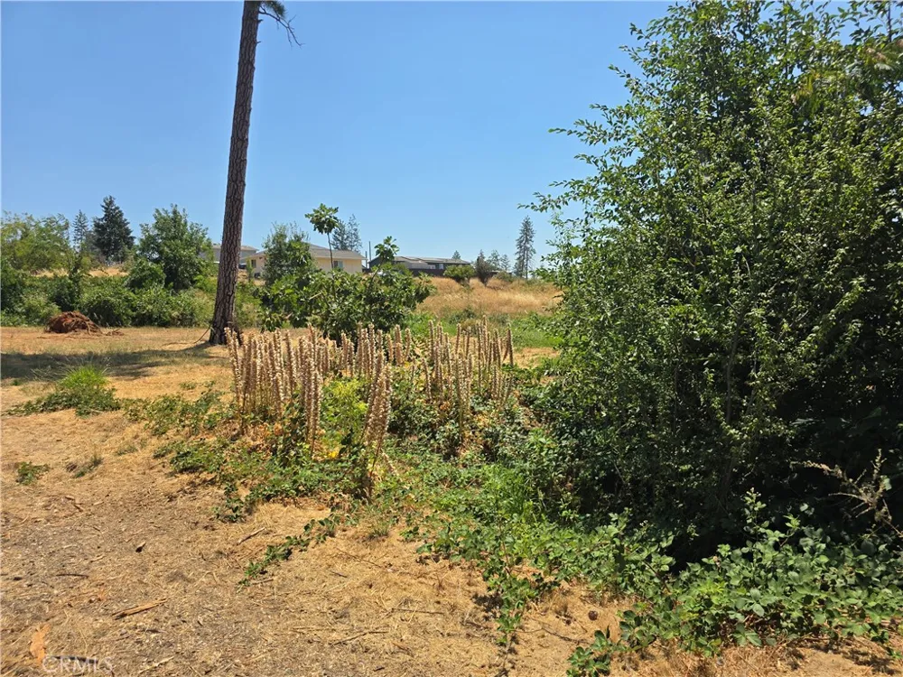5805 Copeland Paradise, CA 95969