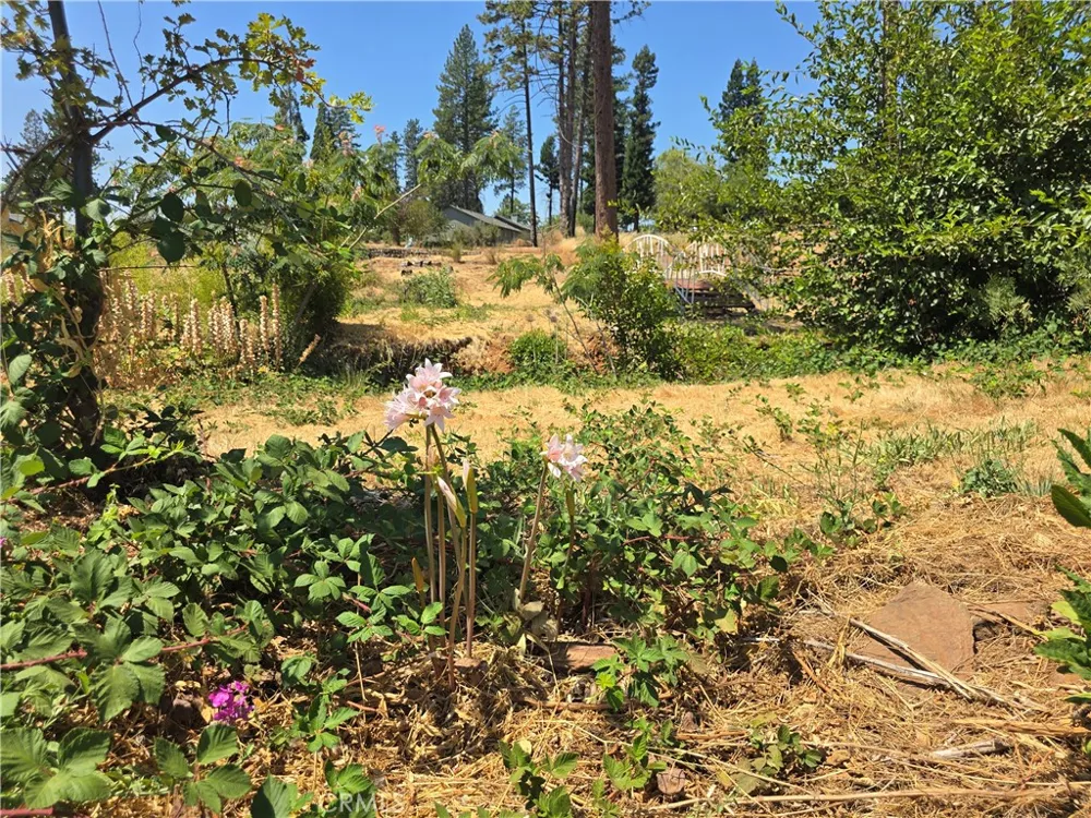 5805 Copeland Paradise, CA 95969