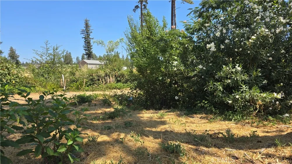 5805 Copeland Paradise, CA 95969