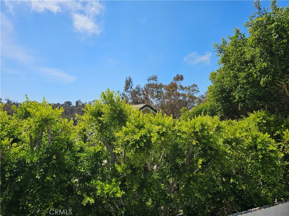 2825 Forest View Way Carlsbad, CA 92008
