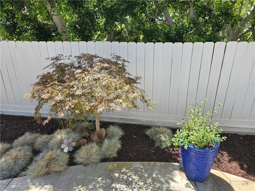 2825 Forest View Way Carlsbad, CA 92008