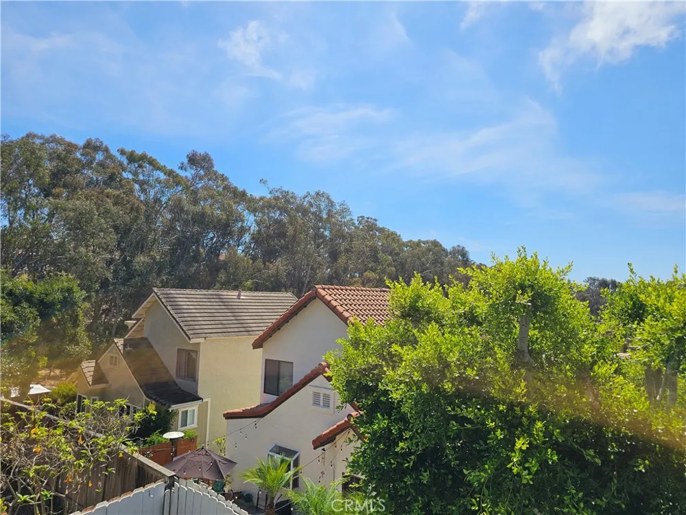 2825 Forest View Way Carlsbad, CA 92008
