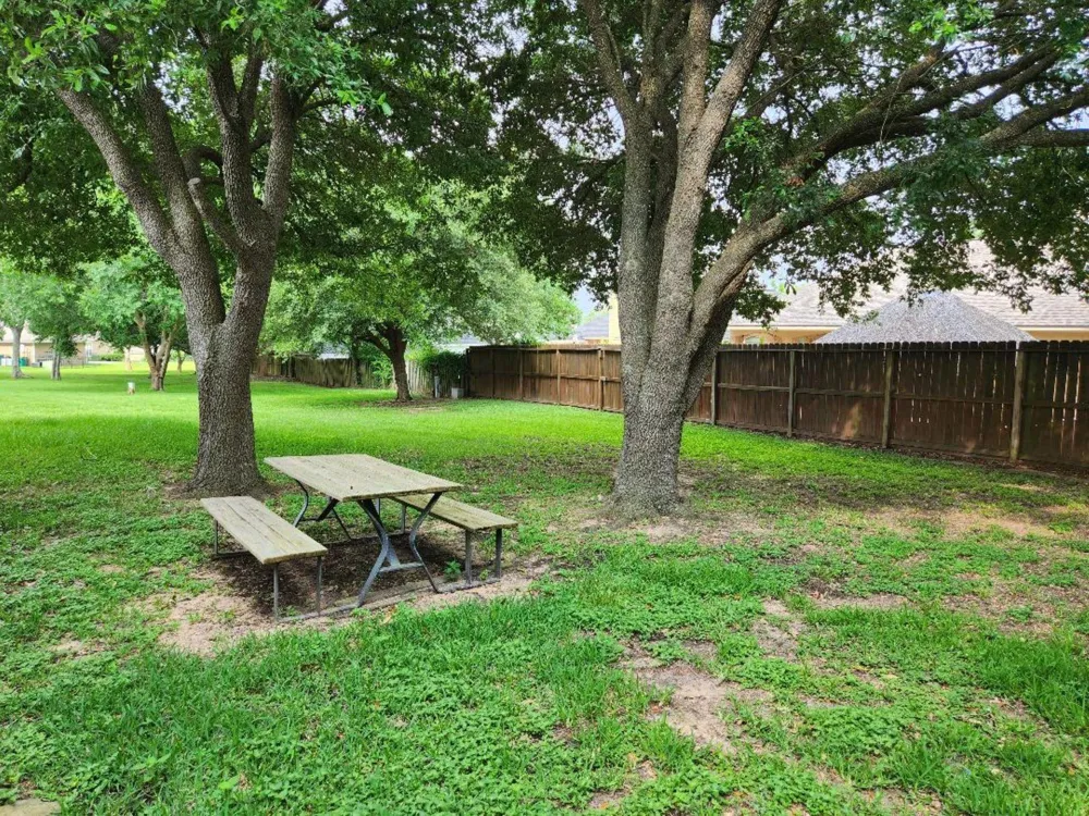 6922 Gentle Breeze Drive Willis, TX 77318