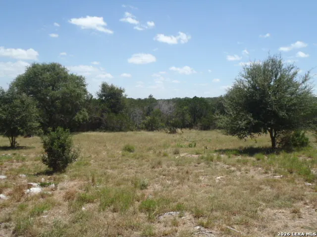 650 SHADY HOLW New Braunfels, TX 78132
