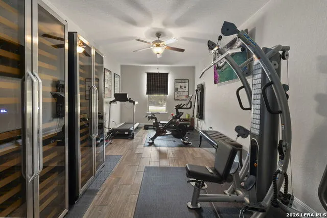 24142 Mateo San Antonio, TX 78261