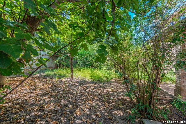 7219 Albany Rdg San Antonio, TX 78250