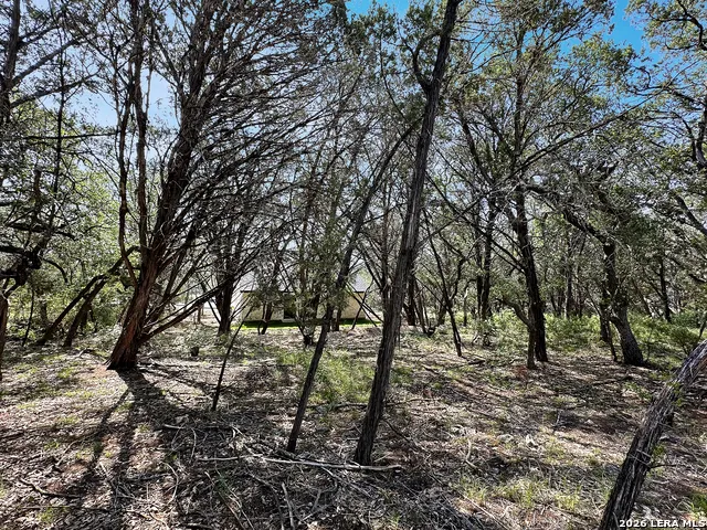 197 SPRING MOUNTAIN DR Canyon Lake, TX 78133