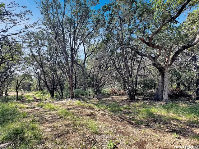 197 SPRING MOUNTAIN DR Canyon Lake, TX 78133