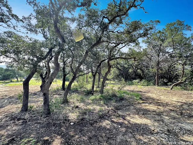 197 SPRING MOUNTAIN DR Canyon Lake, TX 78133
