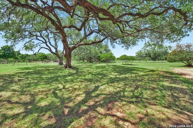 10319 Oak Forest New Braunfels, TX 78132