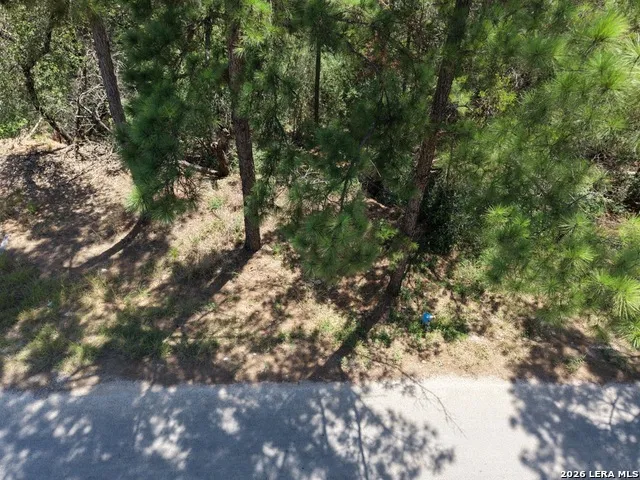 127 & 133 Lamaloa Ln Bastrop, TX 78602