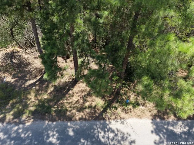 127 & 133 Lamaloa Ln Bastrop, TX 78602